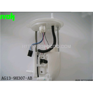 Fuel Pump Assy Gasoline Pump Assembly for Ford AG13-9H307-AB