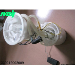 Fuel Pump Assy Gasoline Pump Assembly for Volkswagen 220212002009